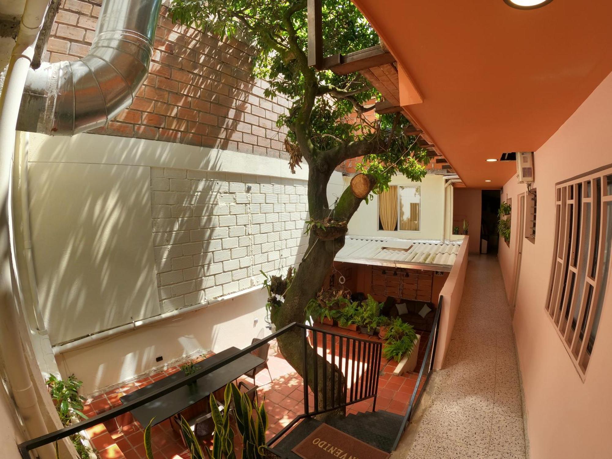 Casa Primavera Hostal Medellín Dış mekan fotoğraf